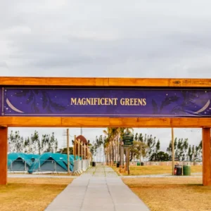Magnificent Greens (1P)