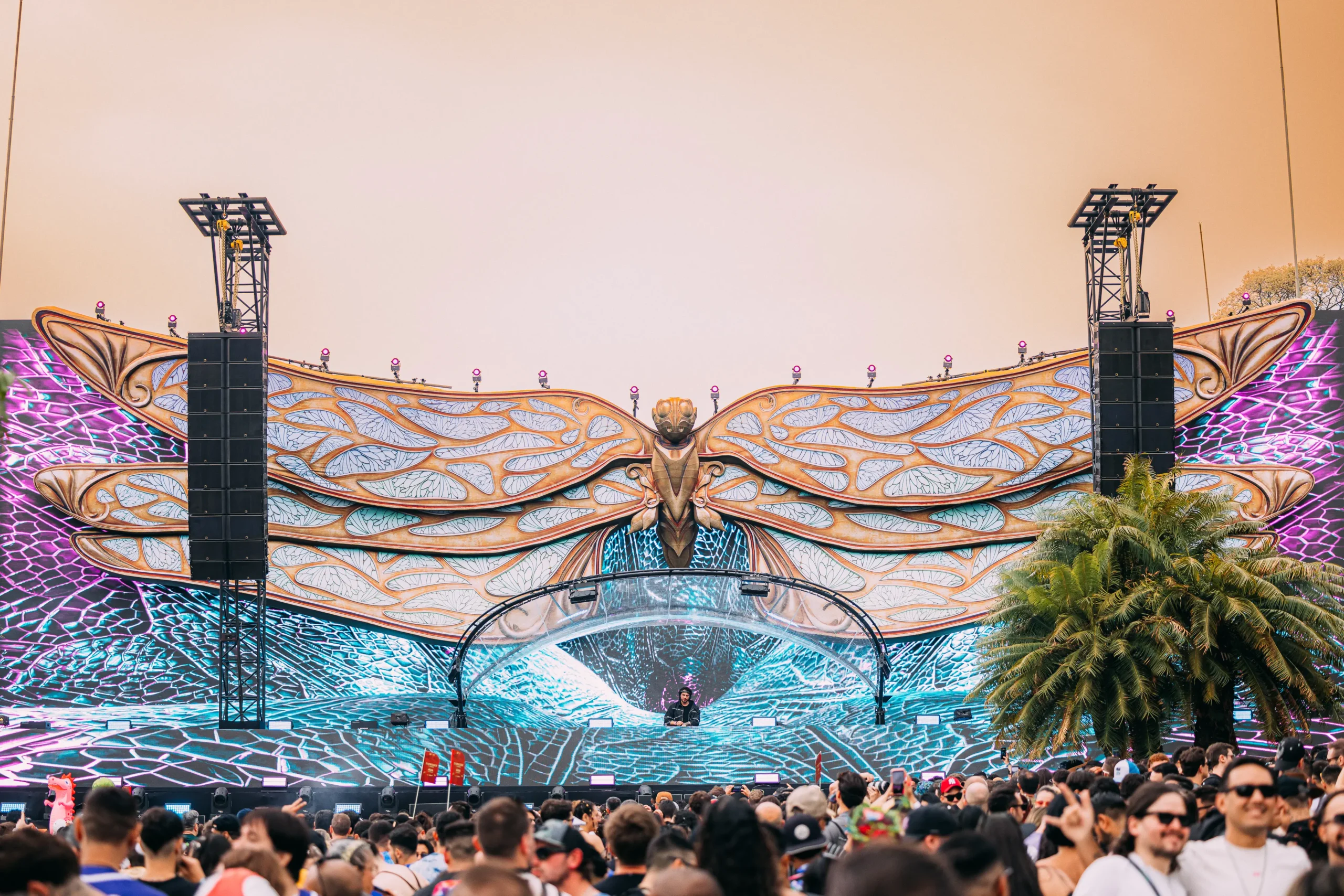 251010-153906-TL25BR-PHILLS